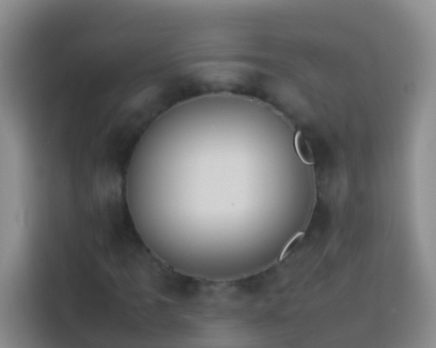 X0000113891061200910011318