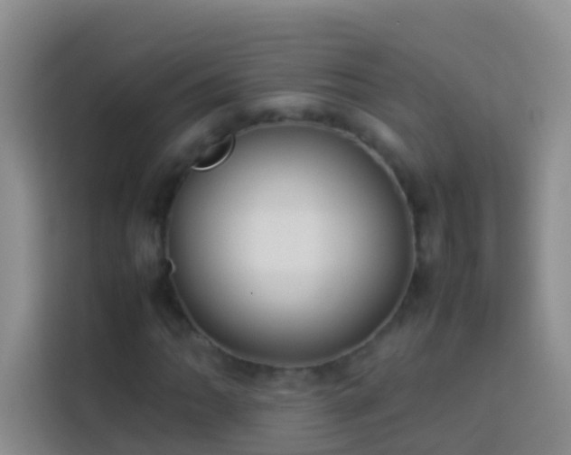 X0000113891062200910011318