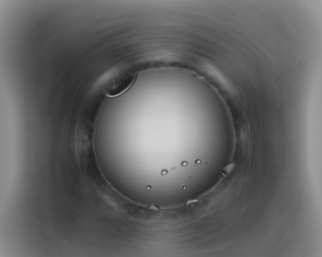 X0000113891064200910011318