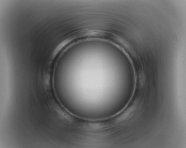 X0000113891066200910011318