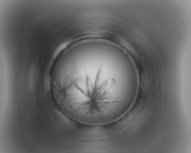 X0000113891067200910011318