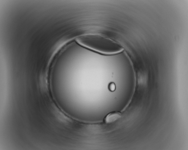 X0000113891068200910011318