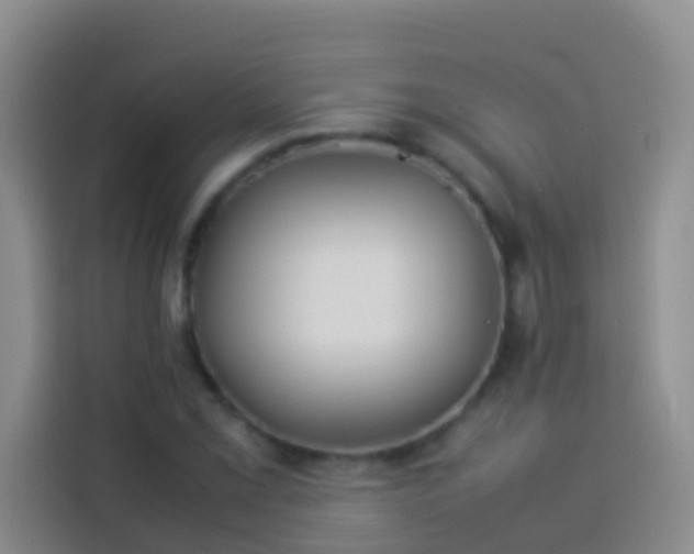 X0000113891069200910011318