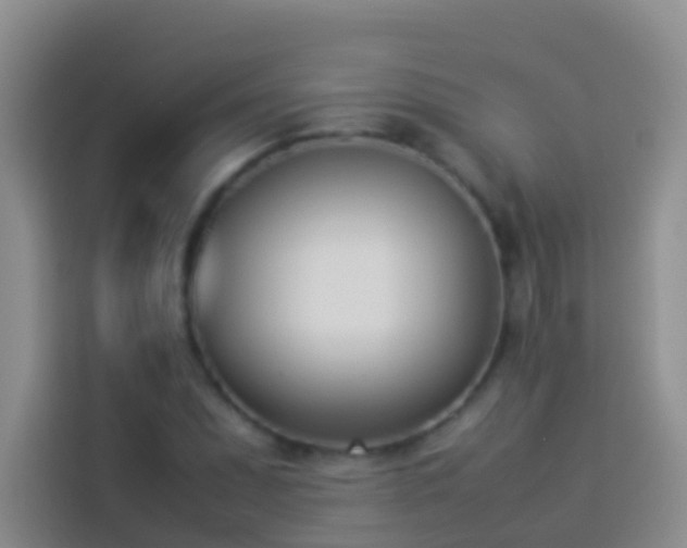 X0000113891071200910011318