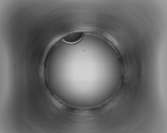 X0000113891072200910011318