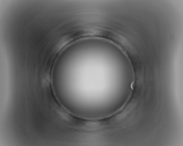 X0000113891073200910011318