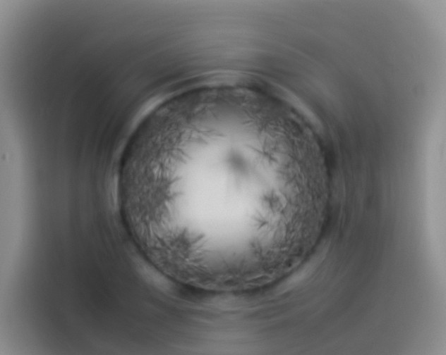 X0000113891075200910011318