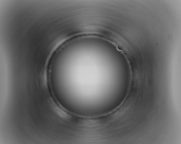 X0000113891076200910011318