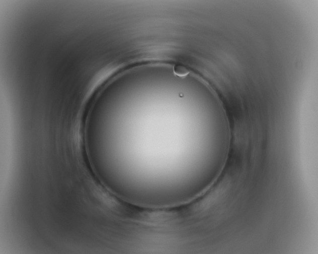 X0000113891077200910011318