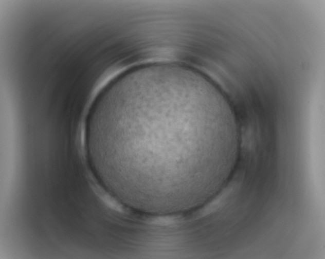 X0000113891078200910011318