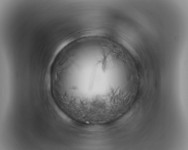 X0000113891079200910011318