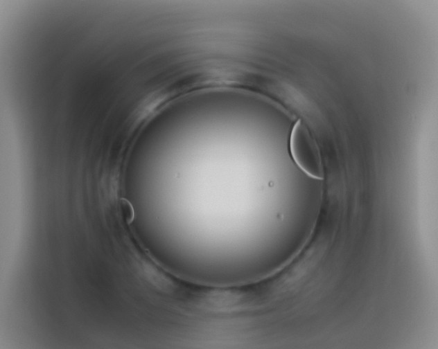 X0000113891081200910011318