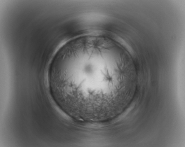 X0000113891083200910011318