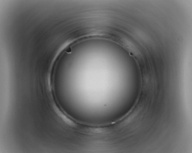 X0000113891084200910011318