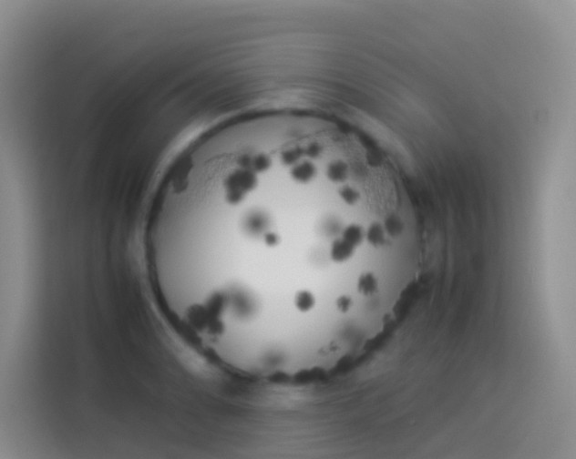 X0000113891086200910011318