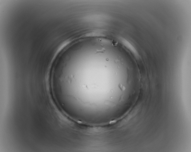 X0000113891087200910011318