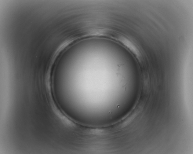 X0000113891088200910011318