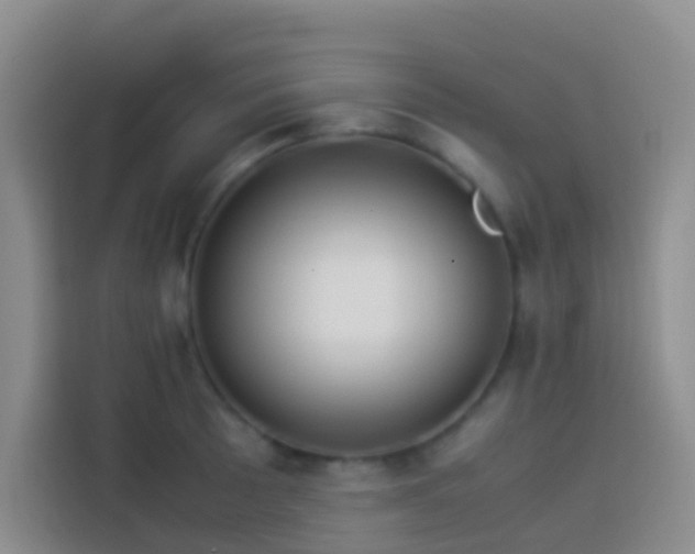 X0000113891089200910011318