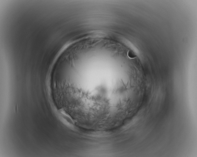 X0000113891091200910011318