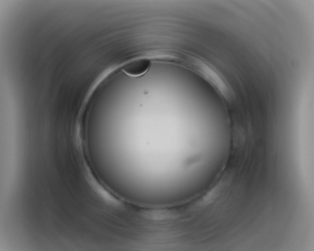 X0000113891092200910011318