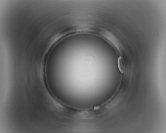 X0000113891093200910011318