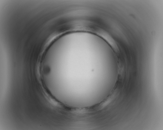 X0000113891094200910011318