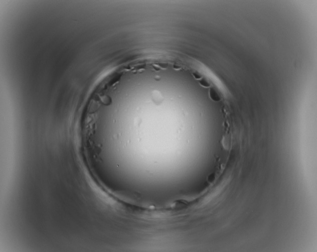 X0000113891095200910011318