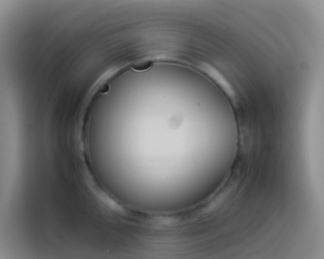 X0000113891096200910011318