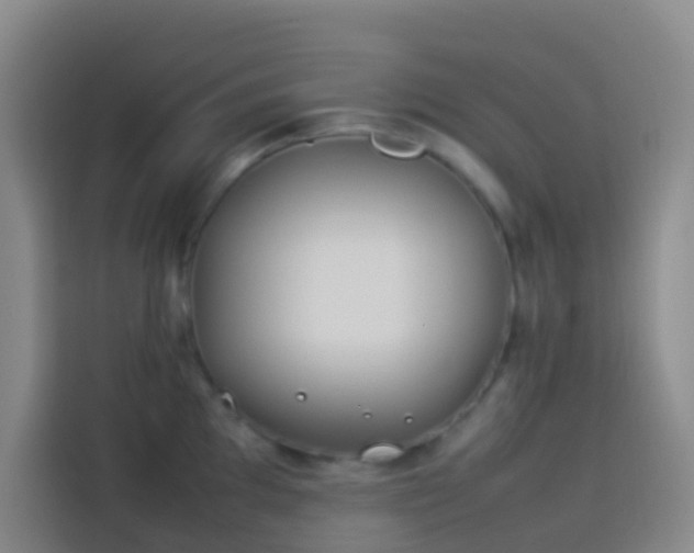 X0000113891097200910011318