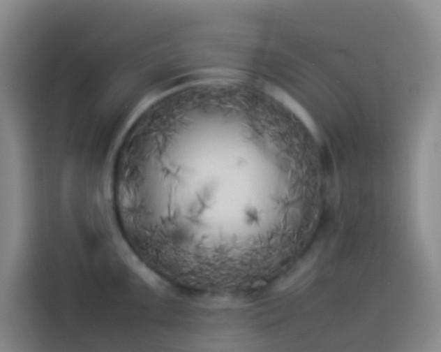 X0000113891099200910011318