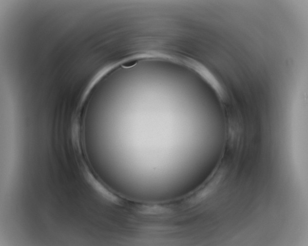 X0000113891100200910011317