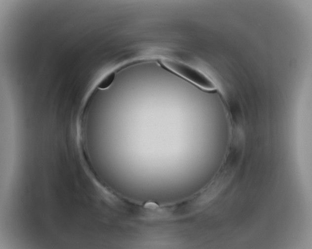 X0000113891101200910011317