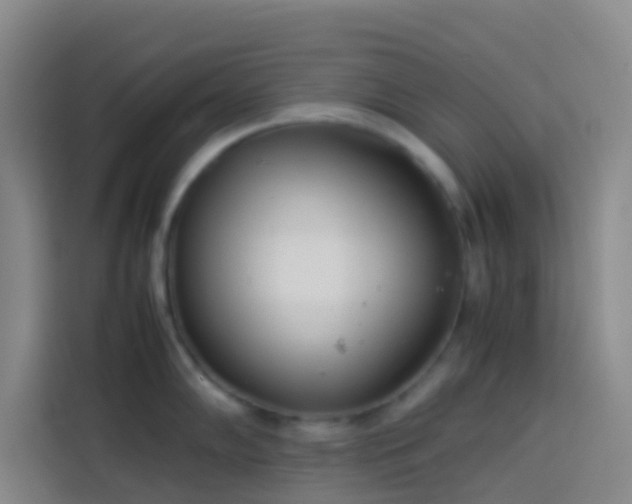 X0000113891102200910011317