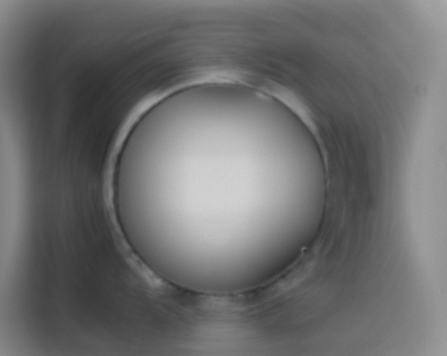 X0000113891104200910011317