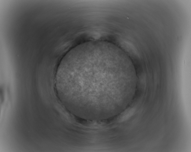 X0000113891105200910011317