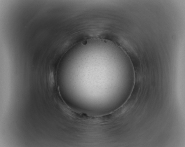 X0000113891106200910011317