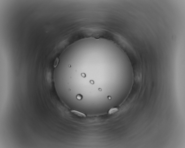 X0000113891108200910011317