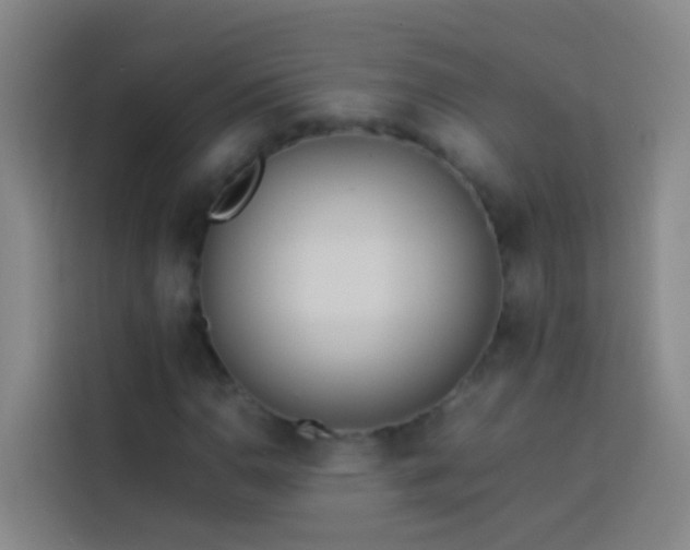 X0000113891110200910011317