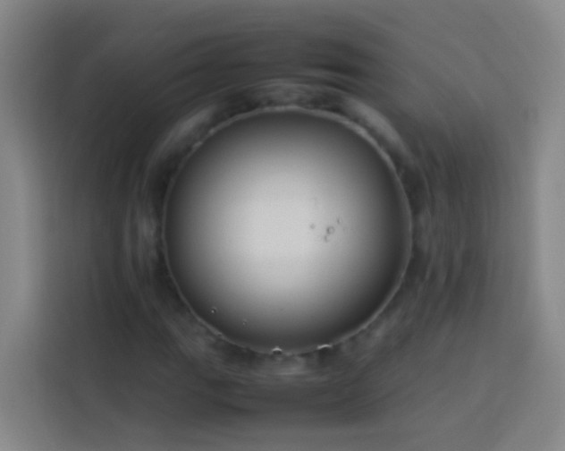 X0000113891111200910011317