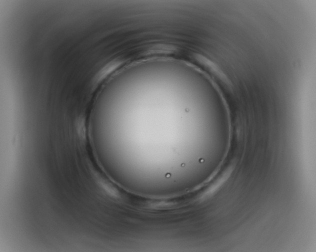 X0000113891113200910011317