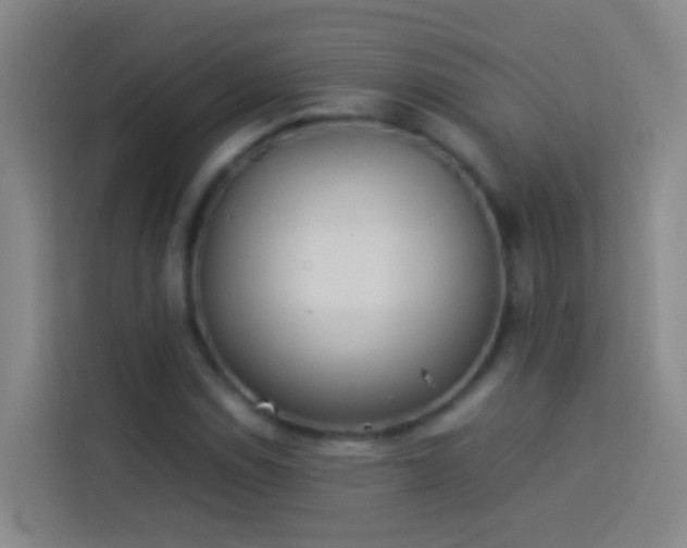 X0000113891114200910011317