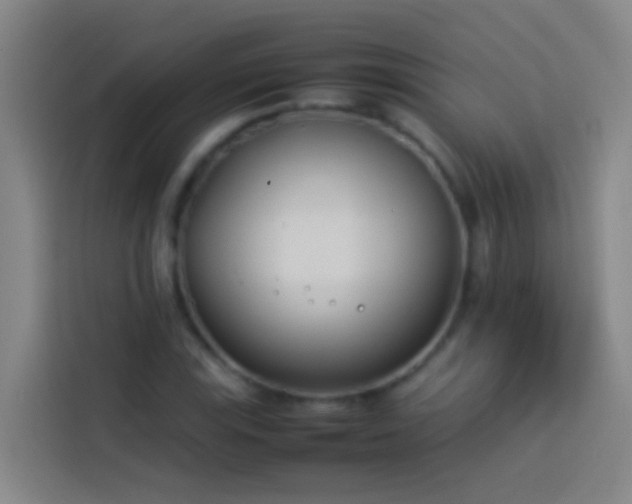 X0000113891115200910011317