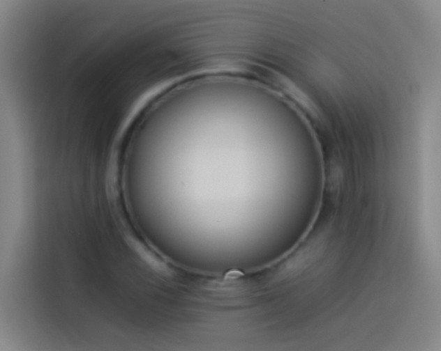 X0000113891116200910011317