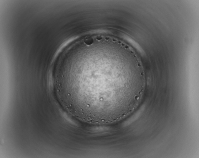 X0000113891117200910011317