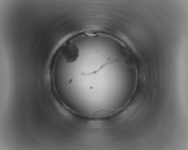 X0000113891118200910011317