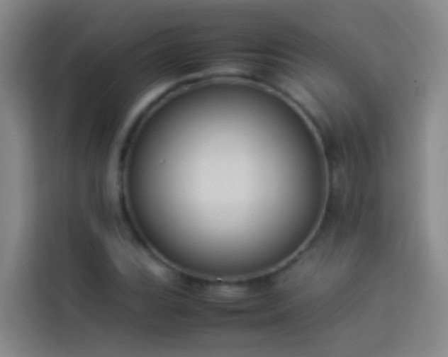 X0000113891119200910011317