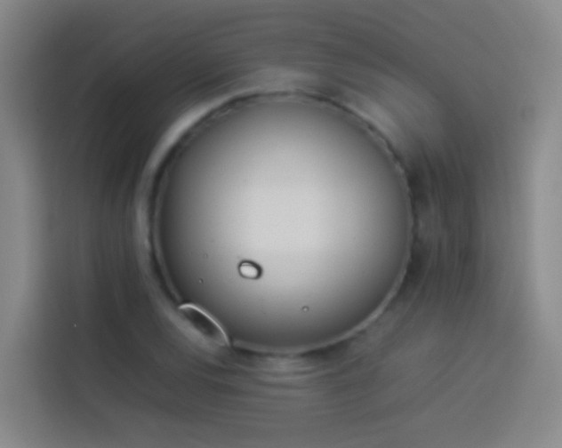 X0000113891120200910011317