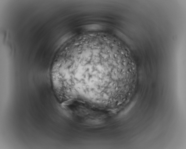 X0000113891121200910011317