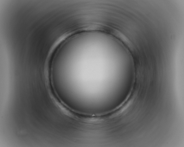 X0000113891122200910011317