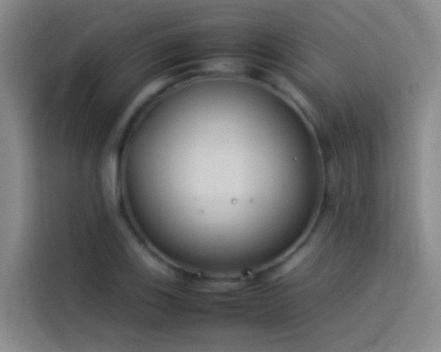 X0000113891123200910011317